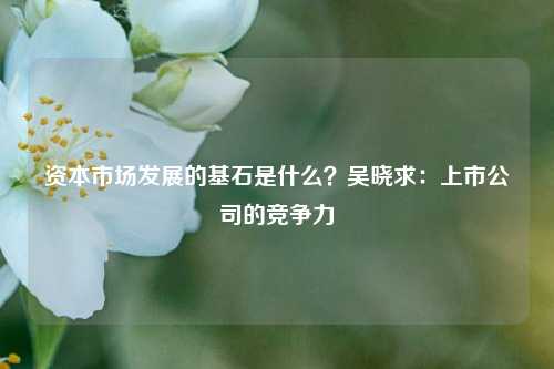 资本市场发展的基石是什么？吴晓求：上市公司的竞争力