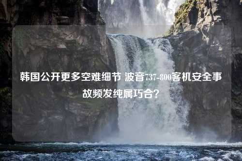 韩国公开更多空难细节 波音737-800客机安全事故频发纯属巧合？