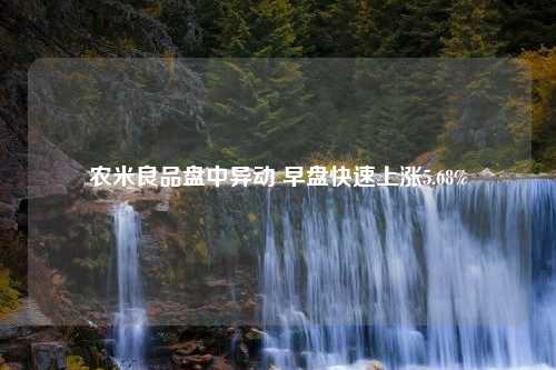 农米良品盘中异动 早盘快速上涨5.68%