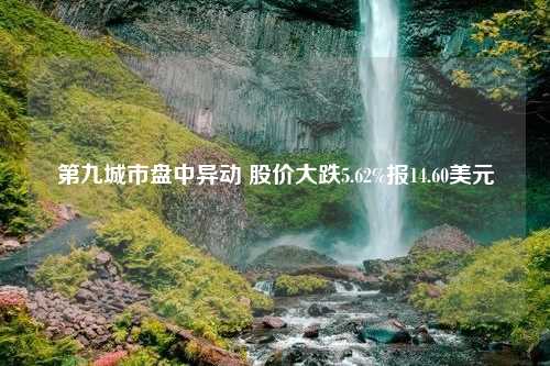 第九城市盘中异动 股价大跌5.62%报14.60美元