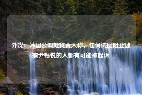 外媒：韩国公调处负责人称，任何试图阻止逮捕尹锡悦的人都有可能被起诉