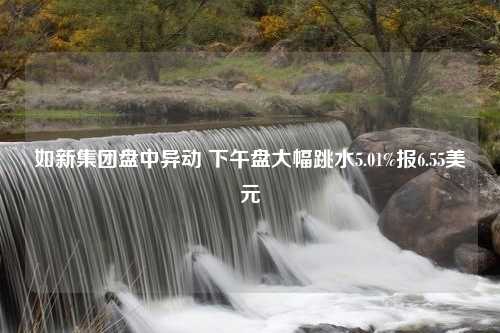 如新集团盘中异动 下午盘大幅跳水5.01%报6.55美元