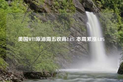 美国WTI原油周五收高1.1% 本周累涨4.8%