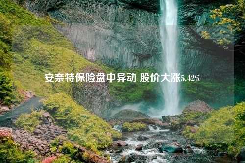 安奈特保险盘中异动 股价大涨5.42%