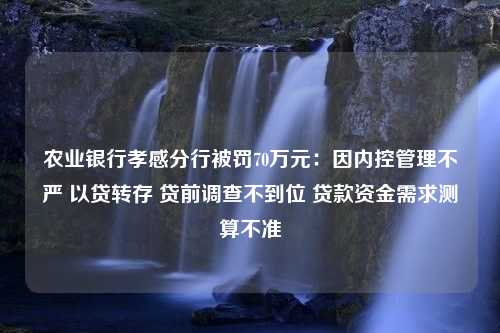 农业银行孝感分行被罚70万元：因内控管理不严 以贷转存 贷前调查不到位 贷款资金需求测算不准