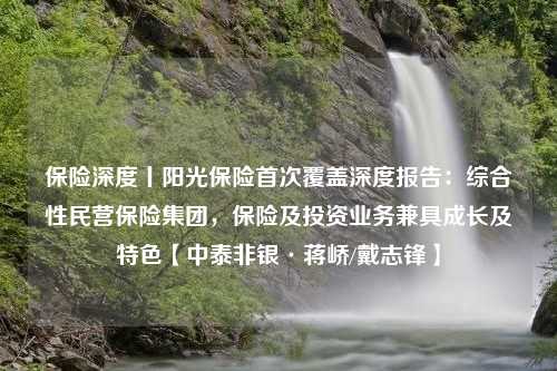 保险深度丨阳光保险首次覆盖深度报告：综合性民营保险集团，保险及投资业务兼具成长及特色【中泰非银·蒋峤/戴志锋】