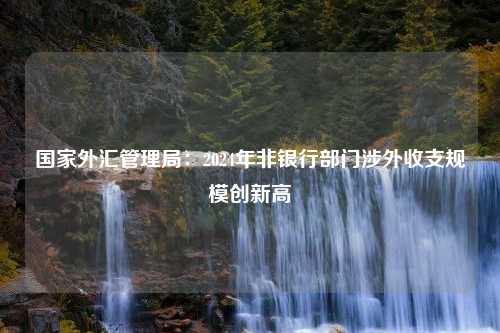 国家外汇管理局：2024年非银行部门涉外收支规模创新高