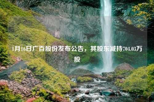 1月16日广百股份发布公告，其股东减持704.03万股