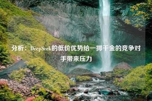 分析：DeepSeek的低价优势给一掷千金的竞争对手带来压力