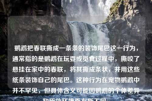 鹦鹉把春联撕成一条条的装饰尾巴这一行为，通常指的是鹦鹉在玩耍或觅食过程中，撕咬了悬挂在家中的春联，将其撕成条状，并用这些纸条装饰自己的尾巴。这种行为在宠物鹦鹉中并不罕见，但具体含义可能因鹦鹉的个体差异和所处环境而有所不同。