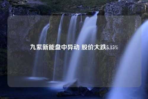 九紫新能盘中异动 股价大跌5.15%