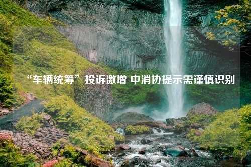 “车辆统筹”投诉激增 中消协提示需谨慎识别