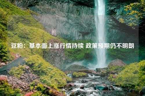 豆粕：基本面上涨行情持续 政策预期仍不明朗