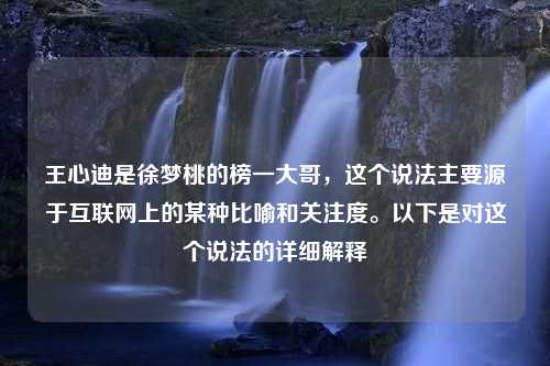 王心迪是徐梦桃的榜一大哥，这个说法主要源于互联网上的某种比喻和关注度。以下是对这个说法的详细解释