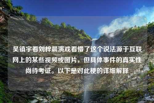 吴镇宇看刘梓晨演戏看懵了这个说法源于互联网上的某些视频或图片，但具体事件的真实性尚待考证。以下是对此梗的详细解释