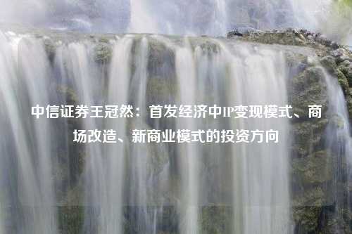 中信证券王冠然：首发经济中IP变现模式、商场改造、新商业模式的投资方向