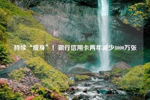 持续“瘦身”！银行信用卡两年减少8000万张