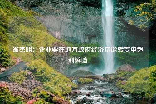 翁杰明：企业要在地方政府经济功能转变中趋利避险