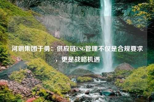 河钢集团于勇：供应链ESG管理不仅是合规要求，更是战略机遇